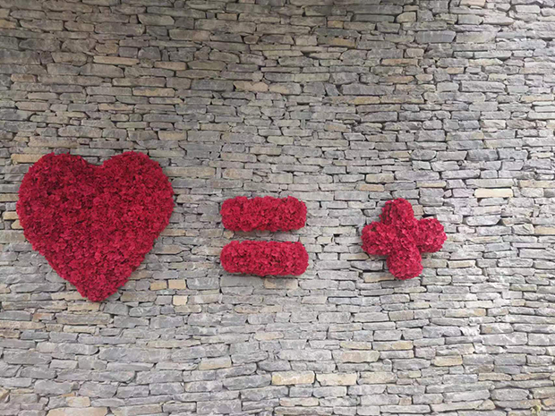 image013.jpg image013.jpg