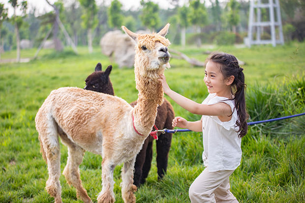 image033.jpg image033.jpg