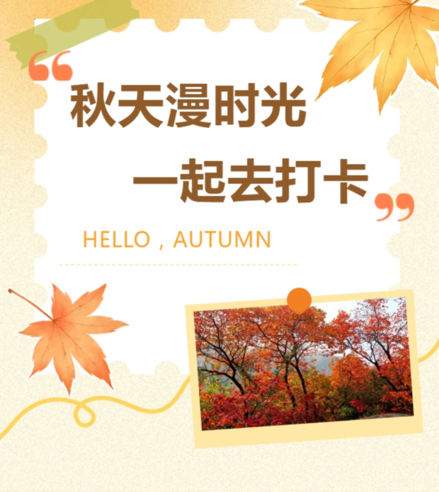 微信截图_20241017085344 (2).jpg 微信截图_20241017085344 (2).jpg