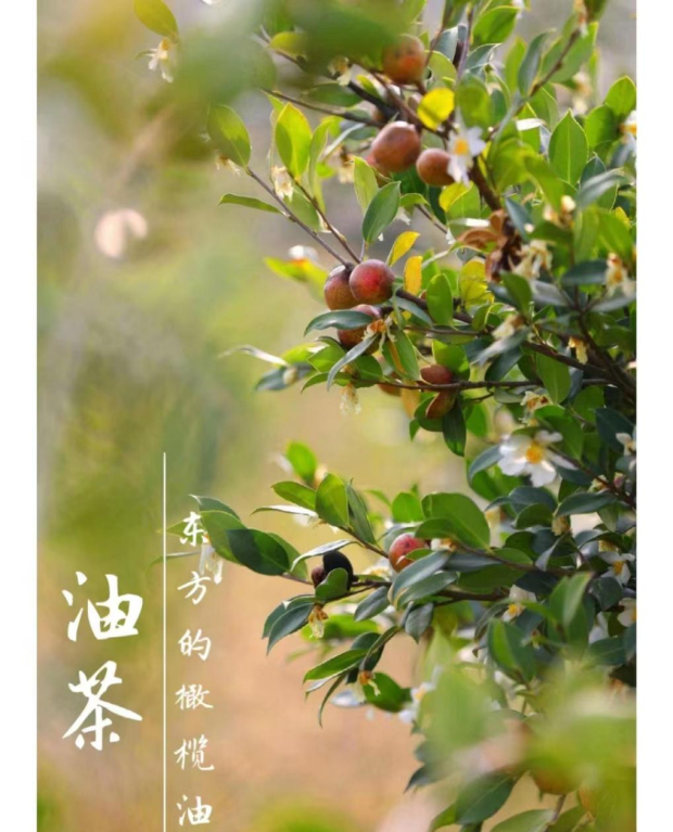 640 (4).jpg 640 (4).jpg